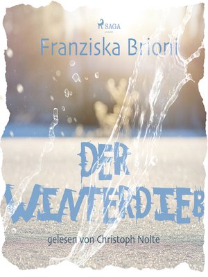 cover image of Der Winterdieb